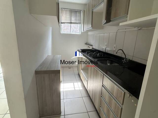 Apartamento para Locação em Itajaí - 5