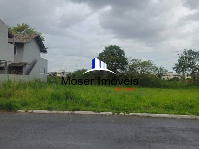 Terreno para Venda em Itajaí - 3