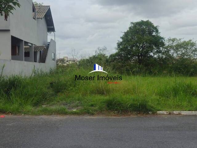 Terreno para Venda em Itajaí - 4